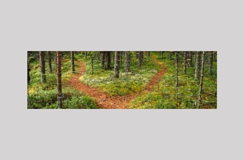 Pathways